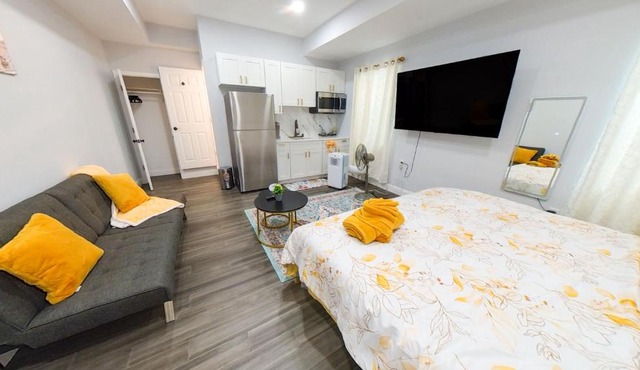 4 New Apts - 3 Bed Apt 1st Floor & 3 Bed Apt 2nd Floor - 1 Bed Studio Apt Ground Floor & 1 Bed Studio Apt Ground Floor near Penn Station EWR Airport Beth Israel Hospital Manhattan NYC