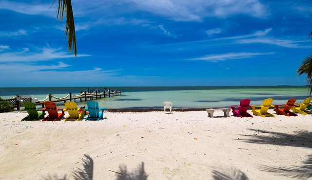 A piece of Paradise in the Keys.