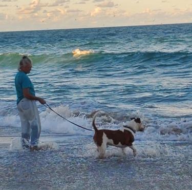 All Pets Welcome, Across From Beach, Tiki Hut