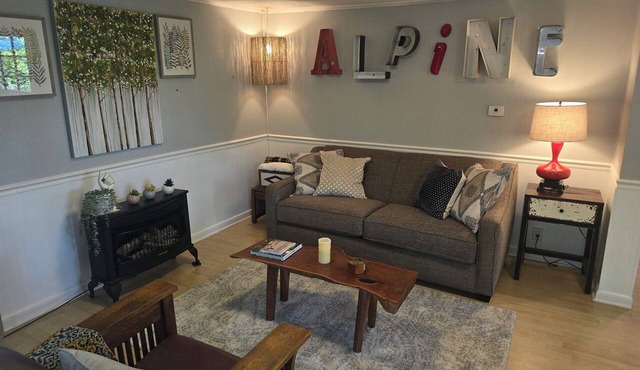 Alpine Chalet - 2 Mi DT AVL, Dog Fndy