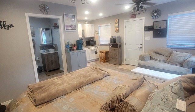 Amazing studio with AC in friendly Lutz neighborhood