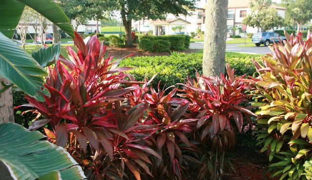 Aug-Oct 2026-Sunny, Quiet .Main floor ,Gated, WiFi-GOLF-pools, 30 to universal