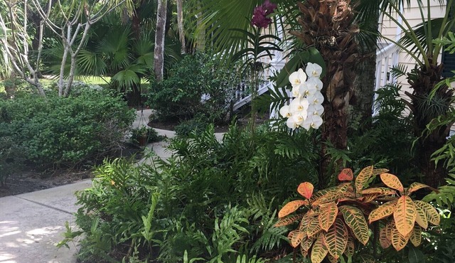 Beautiful Sea Oaks Cottage - Tennis, Private Beach Access, Marina, Pool, Club