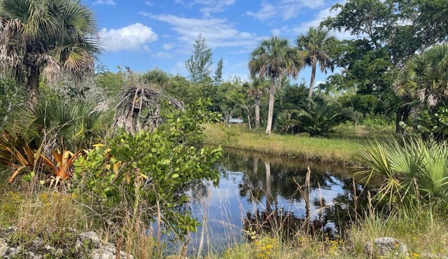 Beautiful , serene and spacious downstairs 2-bedroom house in pine island