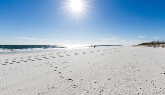 Beautifully updated 2 BR w extra bunk room, family friendly, ocean front condo