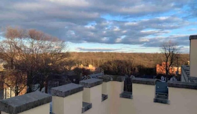 Bronx Castle Penthouse Sunny 1BR