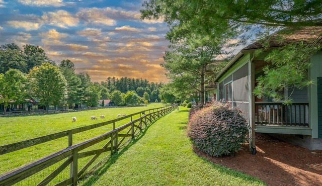 Buttercup Cottage | Flat Rock Cottage | Porch & Meadow Views