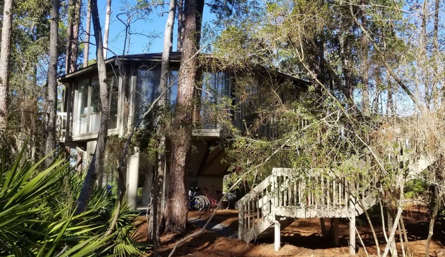 Cozy Treehouse Walkable to Harbour Town with Friendly Deer