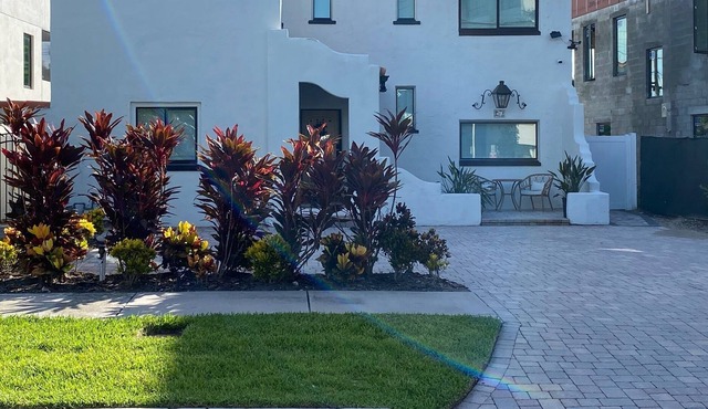 Davis Island 4Bed 3Bath