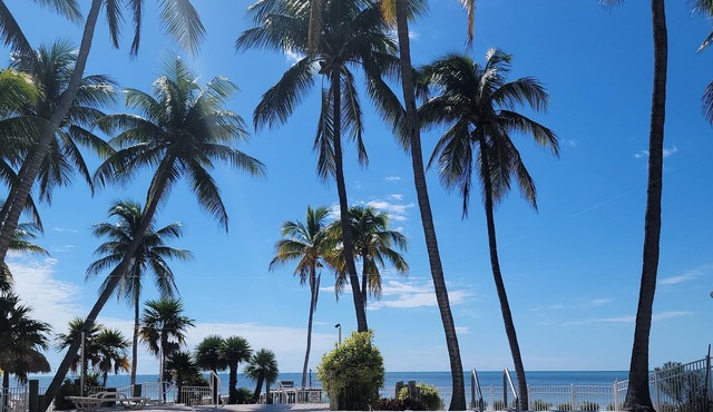 Direct Oceanfront with beach and pool