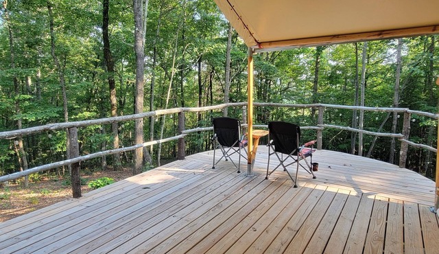 Forest is for rest, Quiet and private location in the mountains Forrest Cump.