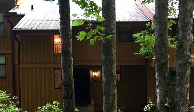 Fresh Mountain Air, Beautiful Views, Lakes, Waterfalls. Pets Welcomed! in Sapphire