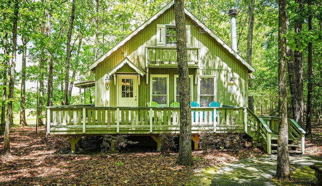 Fur babies welcome in this wooded view chalet! in Pine Mountain