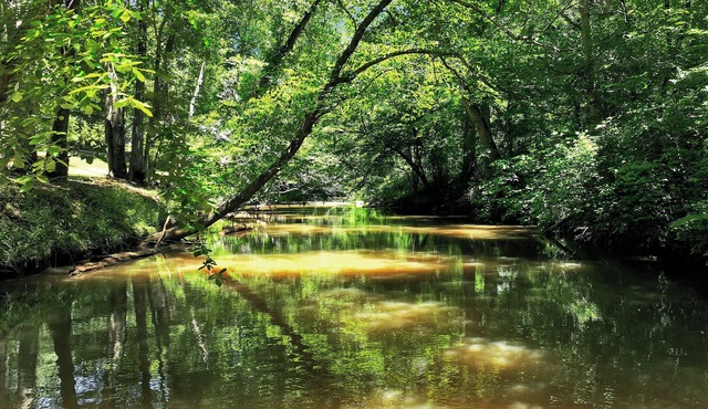 Georgia River & Stone Your Private MAJOR INTERNATIONAL SPORTING EVENT 2026 Basecamp retreat with Home Theater in Bethlehem