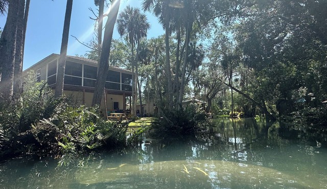 Hidden Spring Run Elevated Views 2 Kings 75" Smart TV kayaks Game Rm in Spring Hill