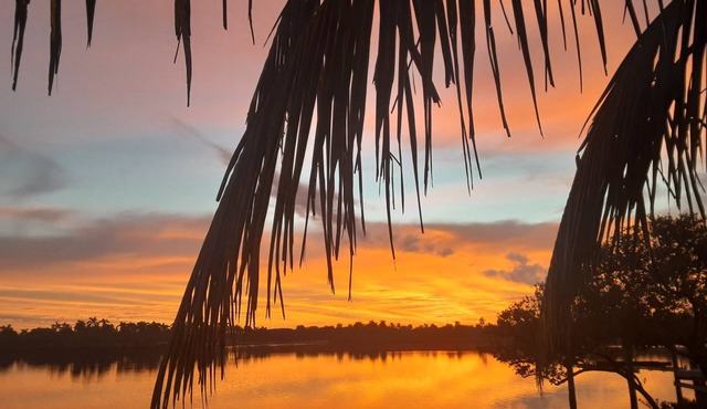 Hobe Sound Beach, "CHUCK'S PLACE"