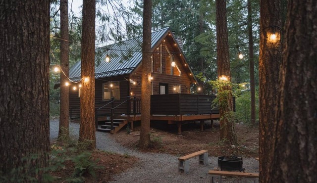 Little wolf cabin King bed dog friendly Mt Baker in Maple Falls