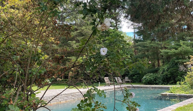 Madison Beach House, Private Pool, Walk to Beach & Town in Madison