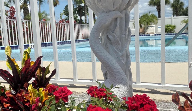 Maple Leaf Inn & Suites