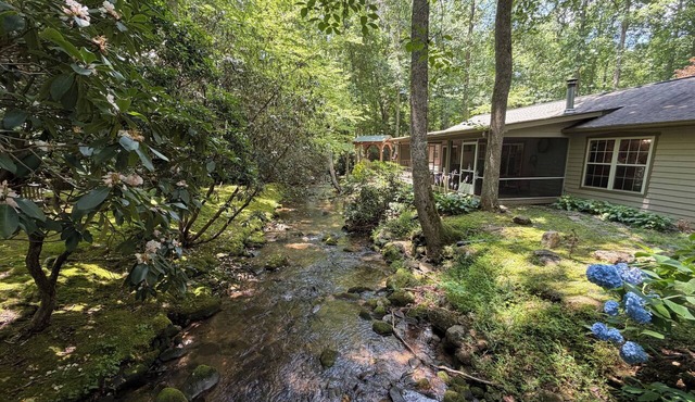 Moolian Creekfront Cabin - Blue Ridge Mountains