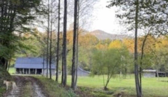 Mountain homestead - vast property with winding creek sleeps 7