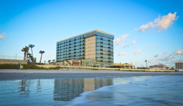 Ocean View Studio Condo - turtle
