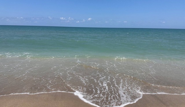 OCEAN VIEWS! OCEAN VIEWS!- BREATHTAKING DIRECT BEACHFRONT CONDO 2/2