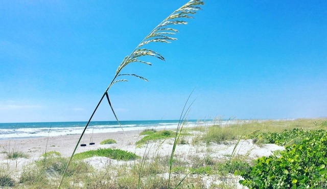 Oceanfront Escape: Dive in! Unwind, Relax, and Savor the Breathtaking Views!