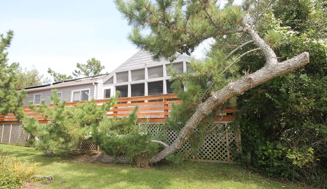 Only 2 short blocks to the beach! Fabulous 4 bedroom, 2.5 bath Cape May Point Cottage with living space on one level.