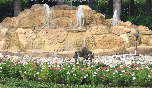 Paradise in Southwest Florida