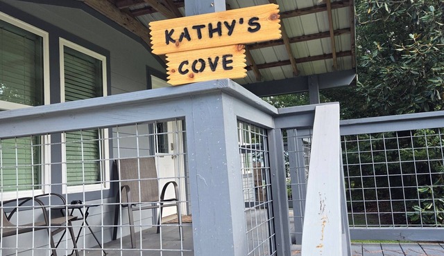 Pet friendly Kayak with the manatees