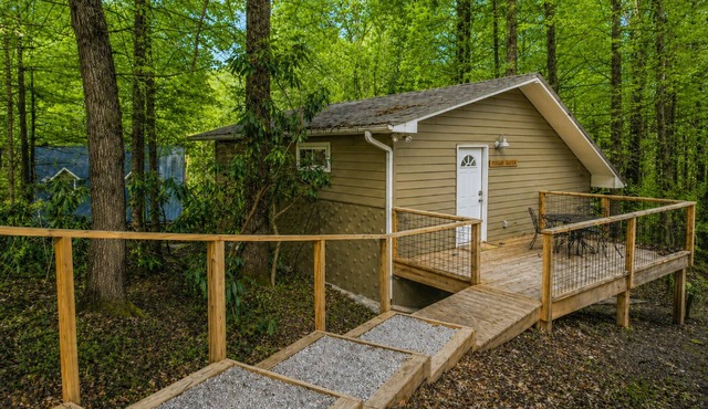 Pisgah Hillside Haven | Private Mountain Retreat Near Brevard, Pisgah & Asheville