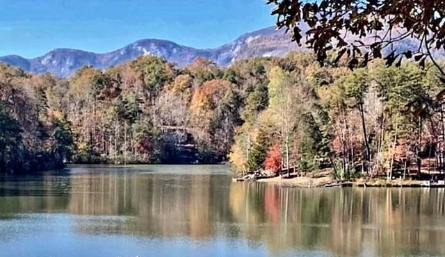 Private log home beach/lakes/river/Canoe/pet