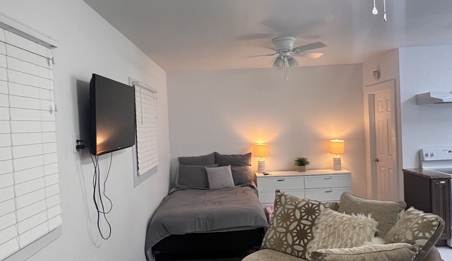 Private Studio in Lutz—5 mins from USF!