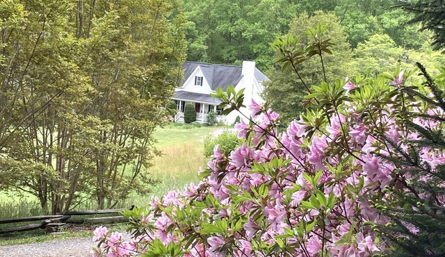 Quiet retreat minutes from breweries, hiking, and Biltmore
