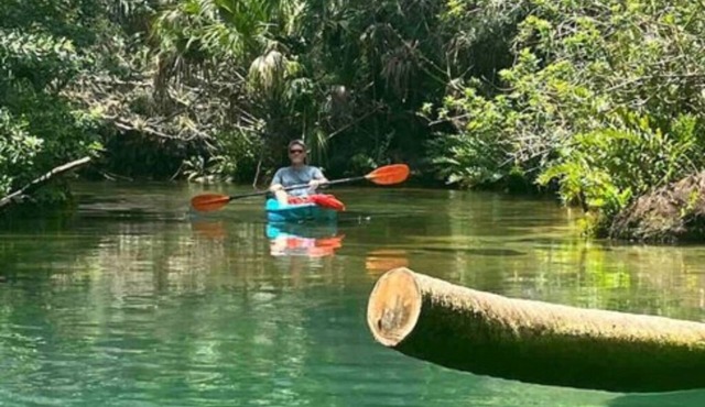 Sirenity - Neptune's Grotto Old Florida Adventure Retreats