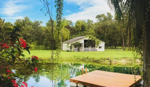 Southern Vintage Farm Estate, Pool, Pond and Barn 4/3 & Event-Ready Retreat