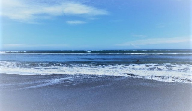 Sunshine's Beach House of Indialantic 2 Bedroom 1 Bath Bungalow sleeps 5