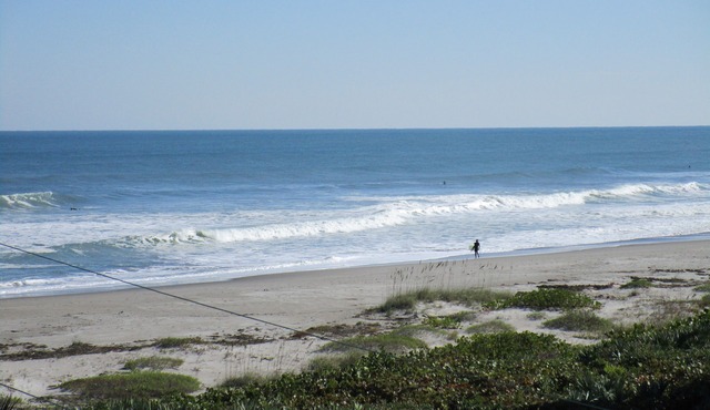 Take me to the Ocean