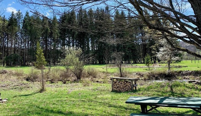 Tempest Ranch Camp is perfect for nature lovers. Close to Watkins Glen.