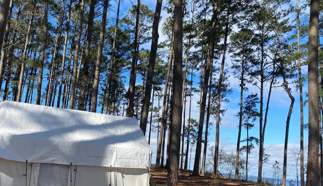 Tentrr State Park Site - Louisiana South Toledo Bend State Park - Site B - Sing in Anacoco