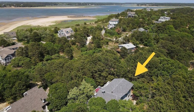 The Ultimate Cape Cod Escape for Families, Friends & Pets in Wellfleet