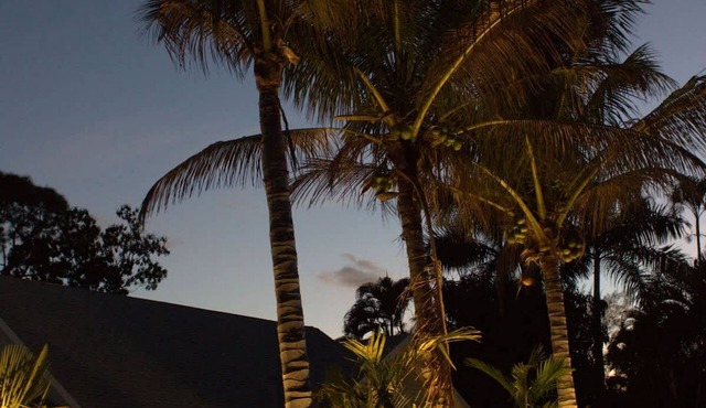 Tropical Mango Grove Stay Whiskey Creek Area