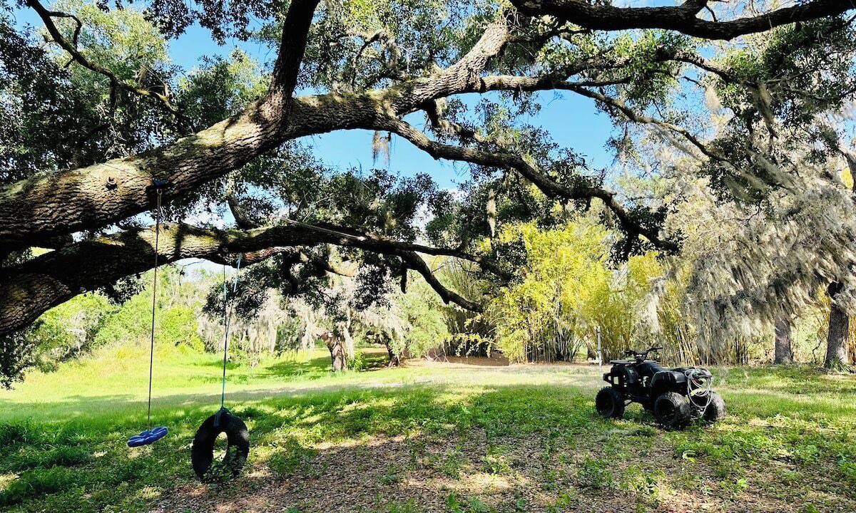 Riverview Other | Bamboo Farm on Bullfrog Creek