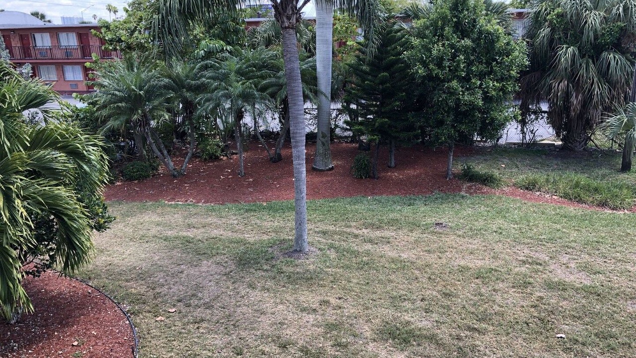 Photo of Others in Fort Myers