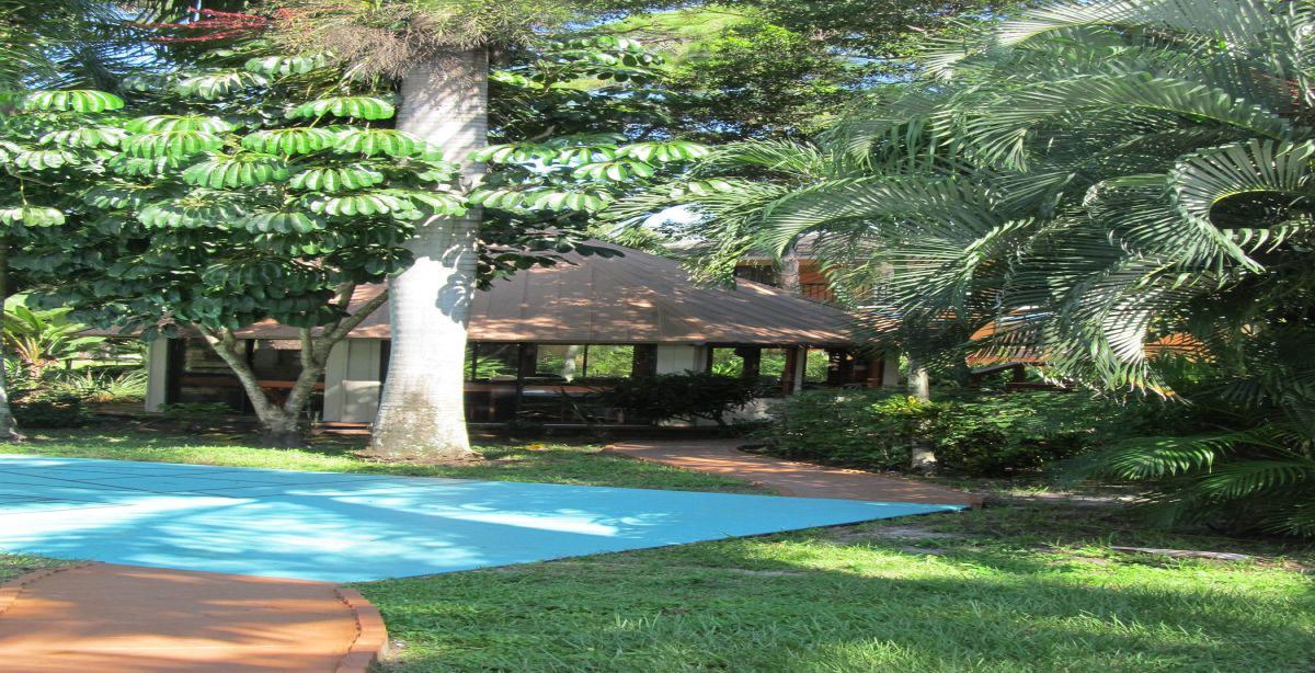 Photo of Outdoor in Palm River Estates
