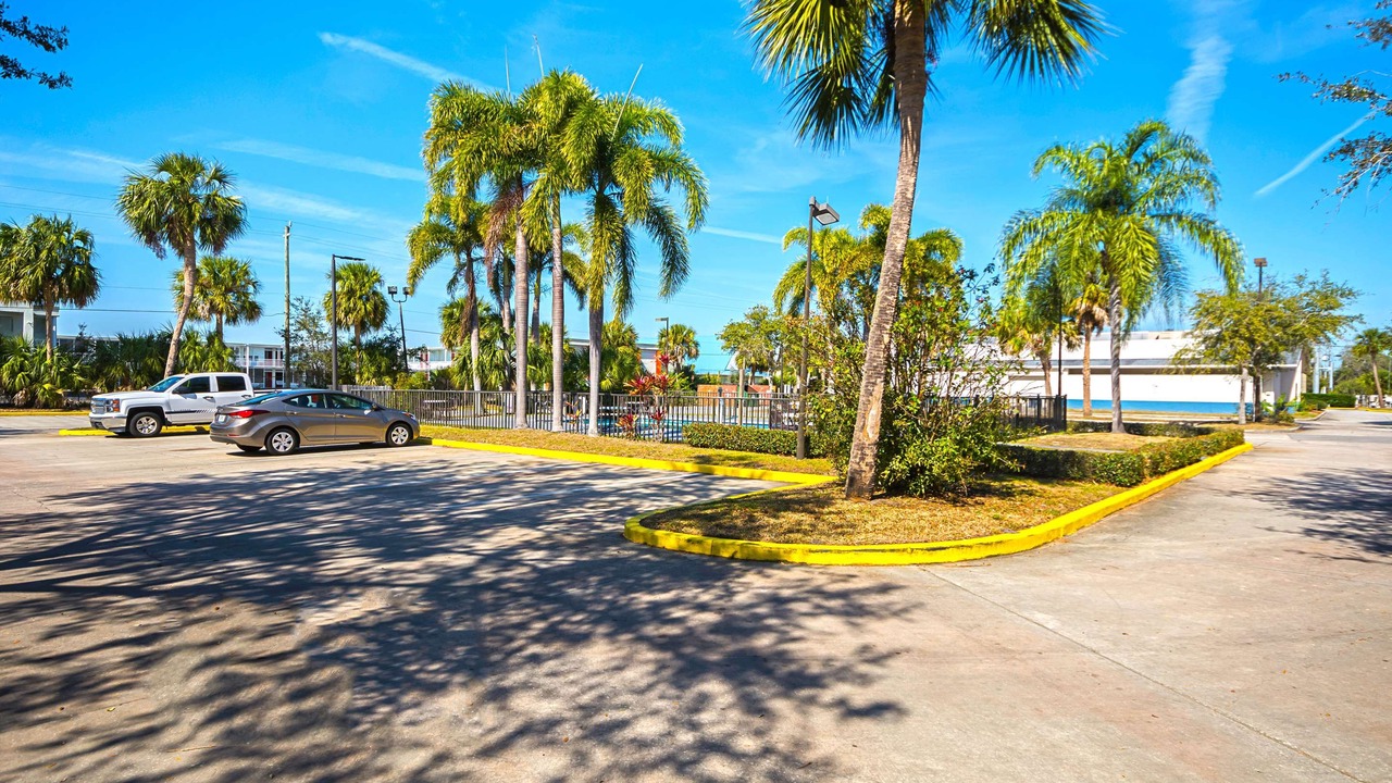Photo of Outdoor in June Park