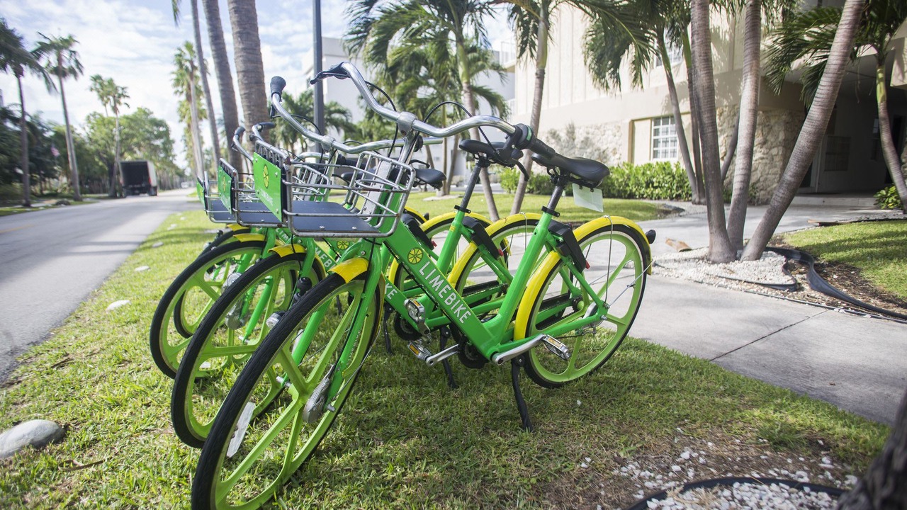 Photo of Others in Key Biscayne