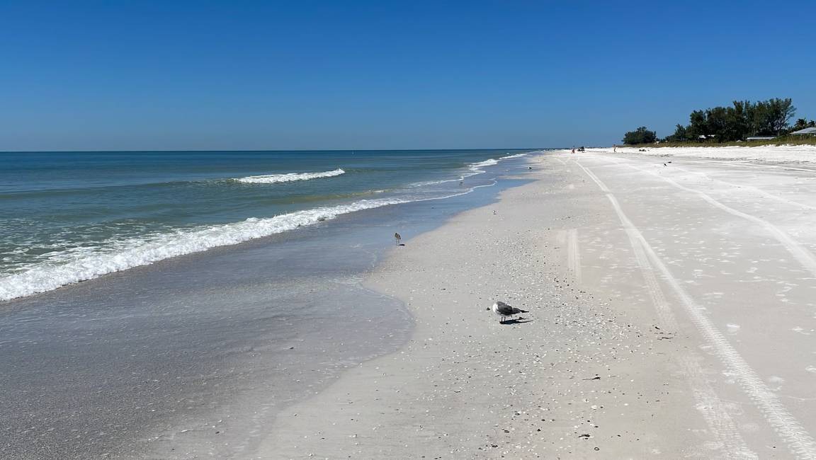 Photo of Others in Holmes Beach