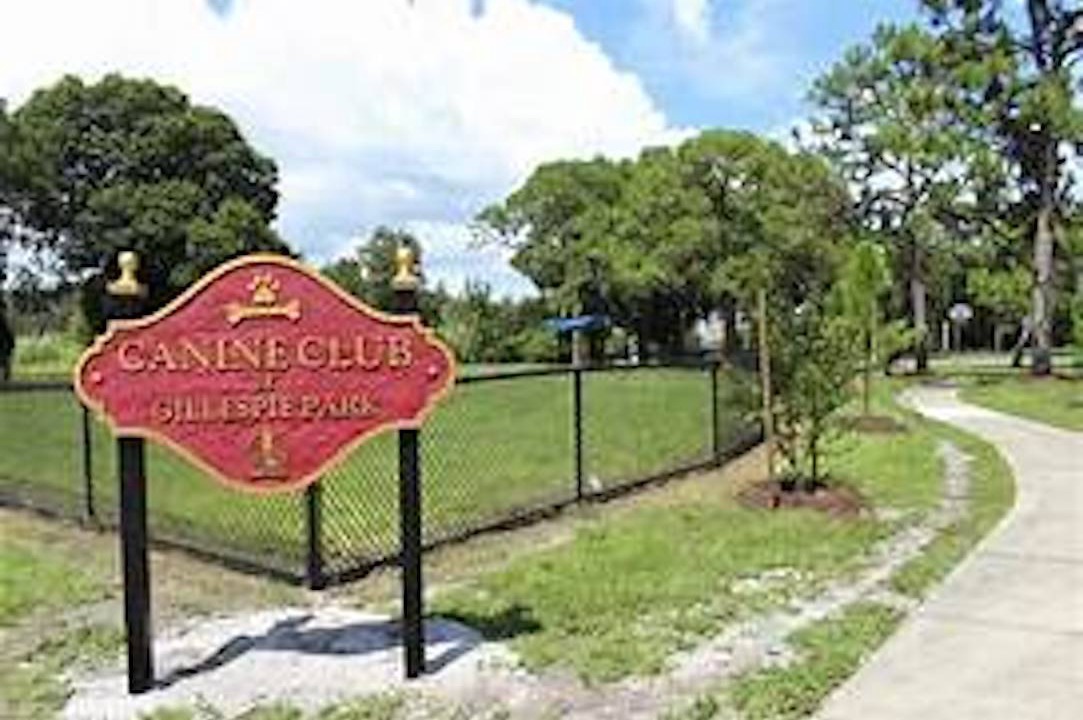 Photo of Others in Gillespie Park
